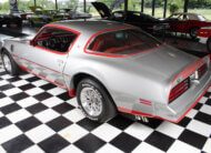 1978 Pontiac Trans Am Macho #102