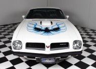 1974 Pontiac Firebird Trans Am Super Duty